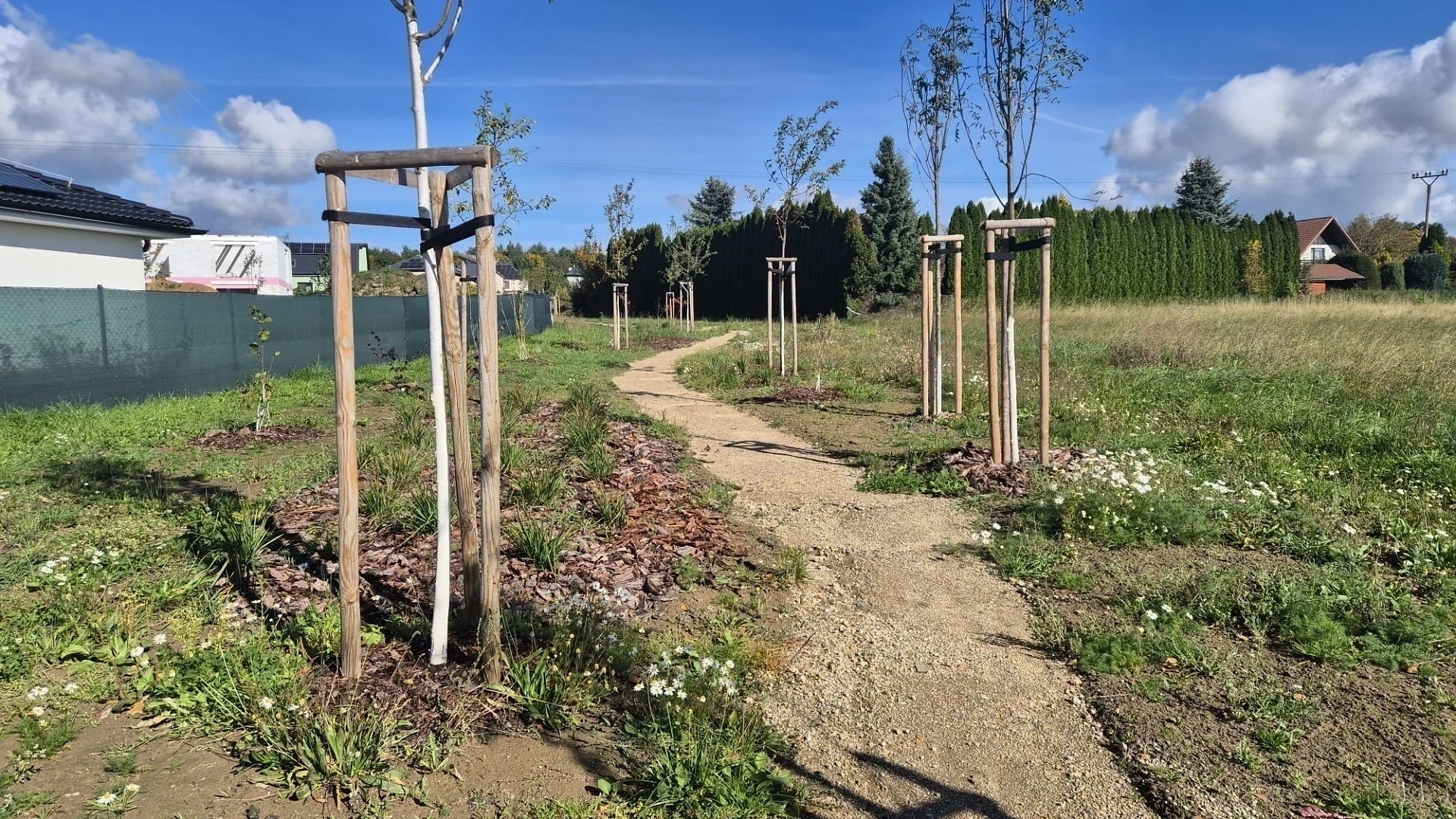 Zelené Radimovice s tůněmi