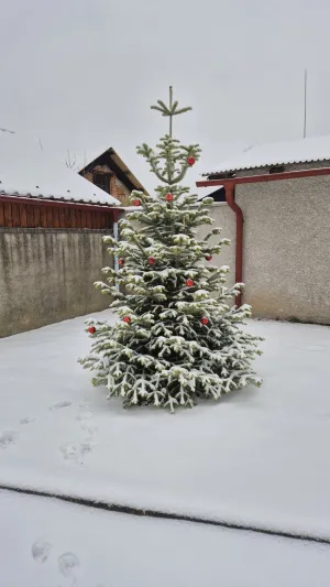 Zelené Radimovice s tůněmi