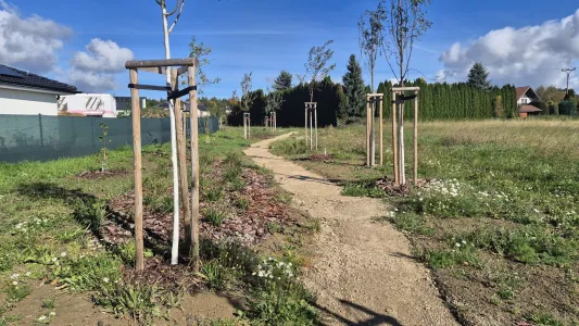 Zelené Radimovice s tůněmi