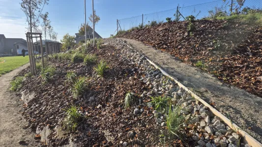 Zelené Radimovice s tůněmi